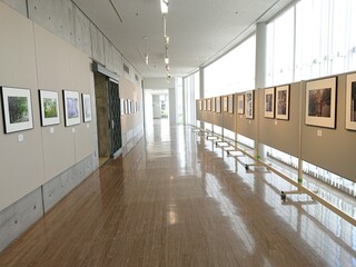 DSC_1950.JPG